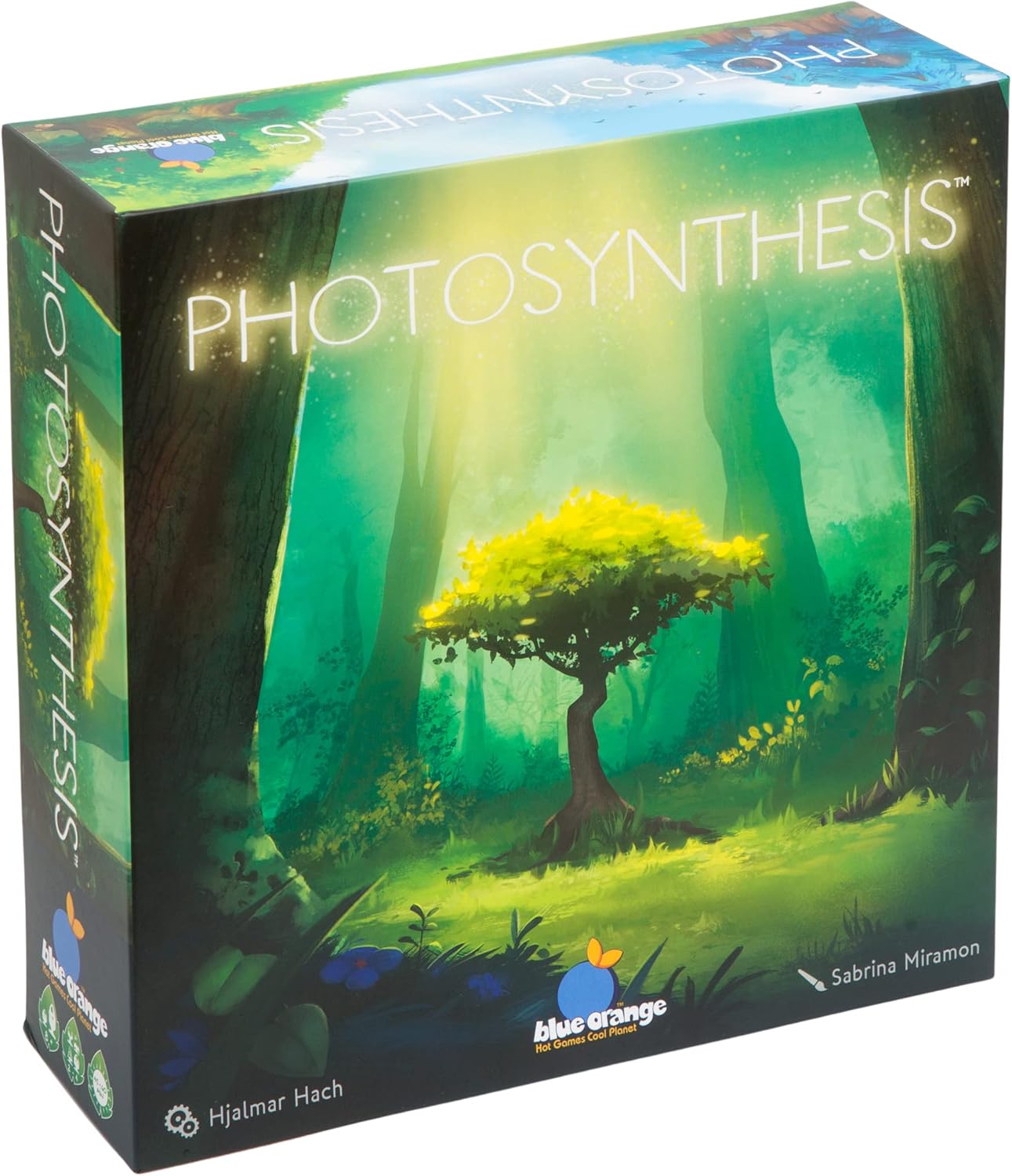 Photosynthesis